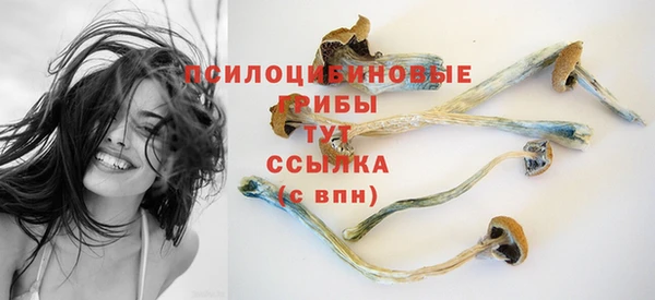 гидропоника Алзамай