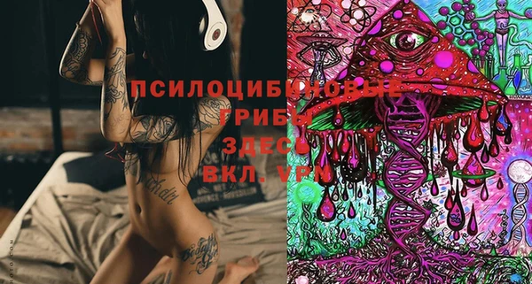 соль курить ск Алексеевка