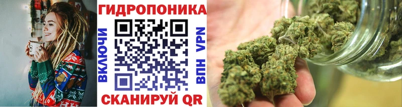 Бошки марихуана конопля Ясный